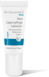 Dr. Hauschka Labimint - Îngrijire acută a buzelor (Lip Care) 5 ml