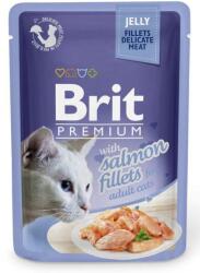 Brit Premium Cat Fillets in Jelly hrana cu somon pentru pisici 24x85 g in aspic