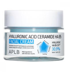 APLB - Hyaluronic Acid Ceramide HA B5 Facial Cream (55ml)