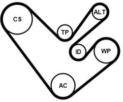 Continental Ctam Set curea transmisie cu caneluri CONTINENTAL CTAM 6PK1555K4 (6PK1555K4)