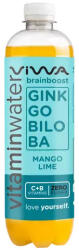 VIWA brainboost ginkgo biloba-zöldtea vitaminvíz 600 ml - delfinbuvar