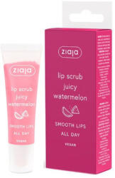 Ziaja Ziaja ajakradír lédús görögdinnye 12 ml - delfinbuvar