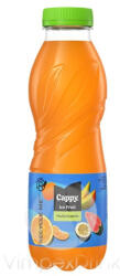 COCA Cappy Ice Multivitamin 0, 5l PET-DRS - delfinbuvar