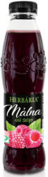 Herbária málna szörp 500 ml - delfinbuvar