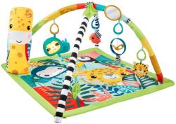 Mattel Salteluta 3 in 1 Fisher-Price (MTHJW08)