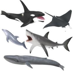 CollectA Set de 5 figurine pictate manual Viata Marina (COL84072WB) - kidostore Figurina