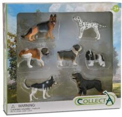 CollectA Set 7 figurine catelusi Collecta (COL89820WB) Figurina