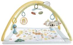 Mattel Salteluta de activitati Fisher-Price Simply Senses (MTHRB15)