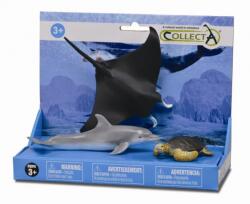 CollectA Set 3 figurine Viata marina - Collecta (COL89279LPP) - kidostore Figurina