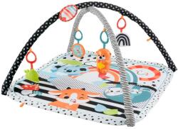 Mattel Saltea muzicala 3 in 1 cu centru de activitati Fisher-Price (MTHBP41)