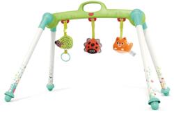 Hola Toys Centru de joaca portabil pentru bebe Hola Toys (HolaE288)