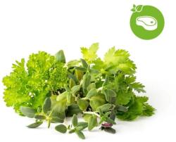 Click & Grow Capsule Click & Grow cu seminte si substrat de amestec de ierburi pentru friptura 9buc (PPMSSX9)