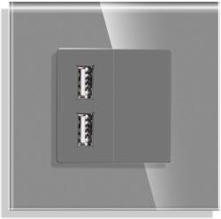 Luxion Priza USB cu Rama din Sticla LUXION, Gri, LX-MP057G-GY (LX-MP057G-GY)