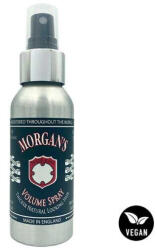 Morgan's Volume Spray 100ml (mor-volsp)