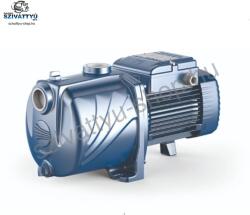 Pedrollo 5CPm 100I (43CP10I5A1)