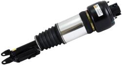 Arnott Amortizor Pneumatic Fata Dreapta Arnott Mercedes-Benz CLS C219 2004-2011 AS-2246 (AS-2246 1)