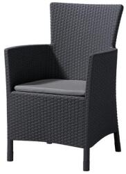 Keter Scaun de gradina Iowa Grafit/Gri-rece (mg215526)