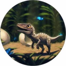 Pictu Hap Ehető papír kis dinoszaurusz pillangókkal 19, 5 cm - Pictu Hap (pic9001238_kruh)