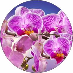 Pictu Hap Ehető papír lila orchidea 19, 5 cm - Pictu Hap (pic9001408_kruh)