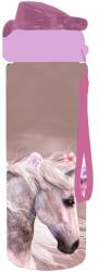 KARTON P+P Oxy Click horse 500 ml (9-06424)