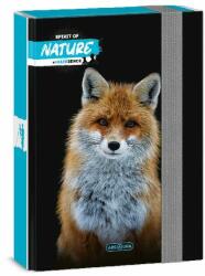 Ars Una Máté Bence-Fox A5 50863884