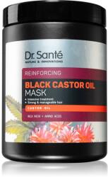 Dr. Santé Black Castor Oil mască hidratantă pentru păr 1000 ml