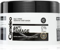 Delia Cosmetics Cameleo BB masca cu keratina pentru par deteriorat 200 ml