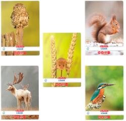 Herlitz Set 5 x Caiet velin Herlitz A5, 48 file, 70g/mp, colturi rotunjite, Motiv animals (9492470-5)