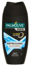 Palmolive Men Refreshing 2in1 tusfürdő és sampon 250 ml