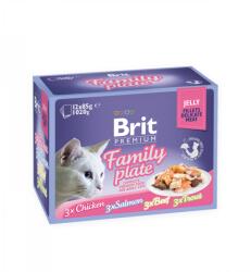 Brit Brit, Hrana umeda pisici, family plate in jeleu, 12x85g - Copie