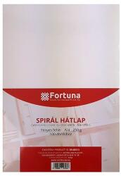 FORTUNA Hátlap FORTUNA A/4 250 g fényes fehér 100/dob (09.00511) - tonerpiac