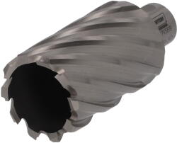 Norton Fúrókorona (Magfúró) Weldon HSS (Ø 38x50 mm) (CT545819)