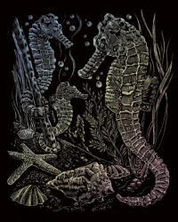 Képkarcoló készlet karctűvel - 20x25 cm - Holografikus - Tengeri csikó