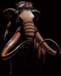 Képkarcoló készlet karctűvel - 20x25 cm - Réz - Mamut