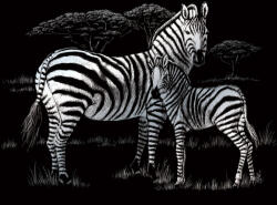 Képkarcoló készlet karctűvel - 20x25 cm - Ezüst - Zebra