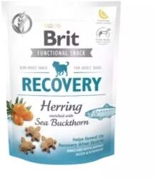 Brit Functional Snack RECOVERY 10x150g