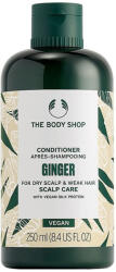 The Body Shop Gyömbéres hajbalzsam (250 ml)