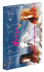 KARTON P+P Horse lovas A4 3-74124