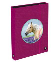 KARTON P+P Lovas A4 9-97624