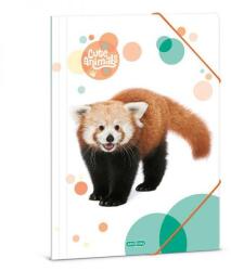 Ars Una Cuki állatok: vörös panda A4 50213092