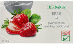 Herbária Gyüm. Tea Eper 20filter - delfinbuvar