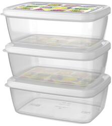 TITIZ IRIS ARIA tárolódoboz szett 3 darabos, 3x850ml AP-9257 (AP-9257) - bestbyte