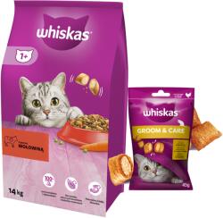 Whiskas Hrană uscată pentru pisici 1+ cu carne de vită 14kg+WHISKAS Healthy Shine 45g