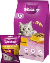 Whiskas WHISKAS Száraz macskatáp 1+ csirkével 14kg + WHISKAS Healthy Shine 45g macskaeledel, csirkével