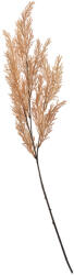 Clayre & Eef Set 6 plante artificiale plastic bej 10x4x75 cm (5PL0053)
