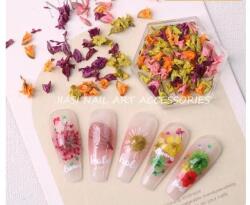  Szárított virág 6szög tégelyben #2