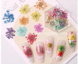  Szárított virág 6szög tégelyben #6