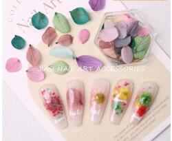  Szárított virág 6szög tégelyben #3