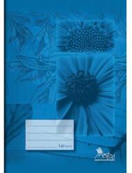 Notes Caiet 540 A5 40 coli reciclat curat