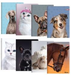 Junior Caiet A4, cu linii 444, 40 de coli, Exclusiv "Cute Animals